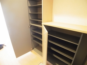 Entrance. There are also shoes BOX.