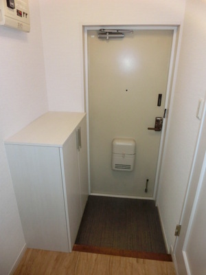 Entrance. Entrance with a shoe box