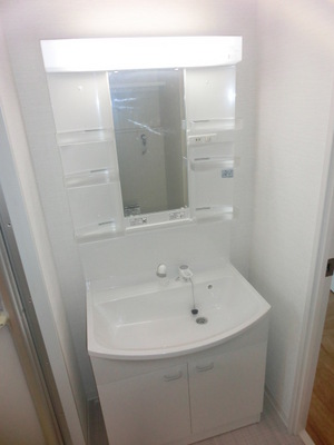 Washroom. Glad Shampoo dresser