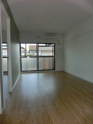 Living and room. Wide living room