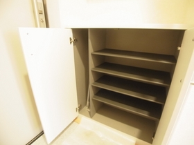 Entrance. There is also shoes BOX.