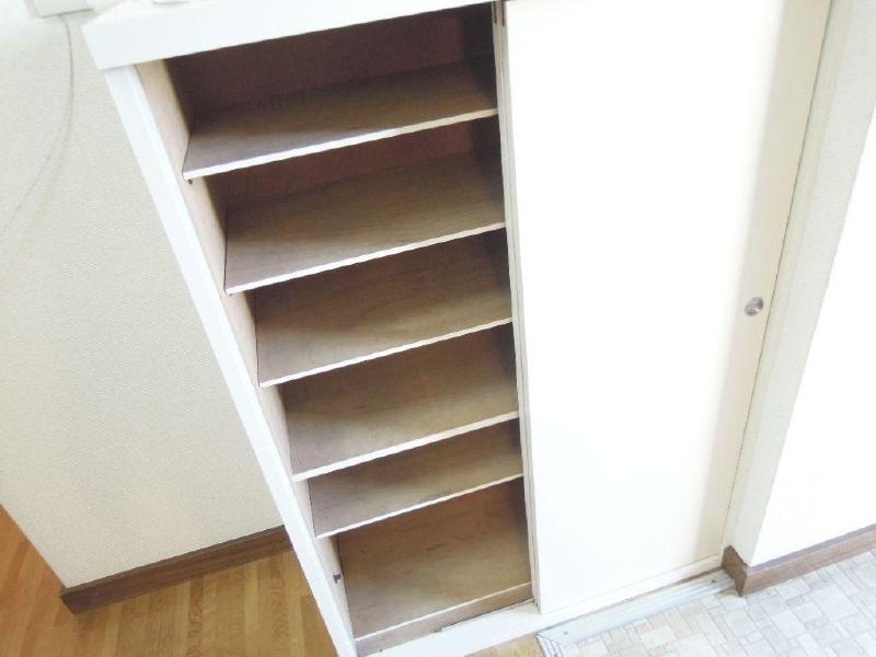 Entrance. Shoe box installed already entrance also refreshing