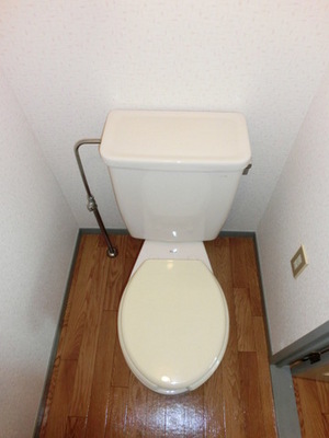 Toilet. Toilet