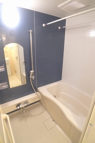 Bath. Also it heals tired of stylish bathroom daily