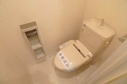 Toilet. Warm water washing toilet seat