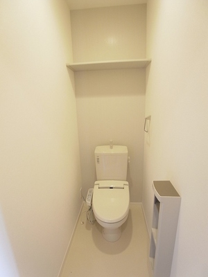 Toilet. Is a comfortable warm-water heating with toilet seat.