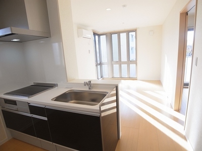 Kitchen. IH cooking heater, three-necked ・ System kitchen with grill.