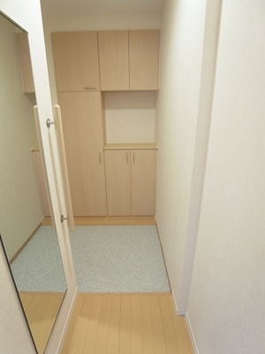 Entrance. And a large shoe box in the foyer, There is a useful mirror to get dressed.