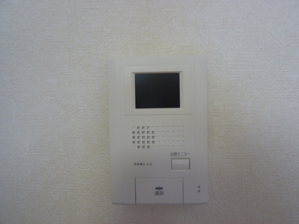 Security. TV monitor phone