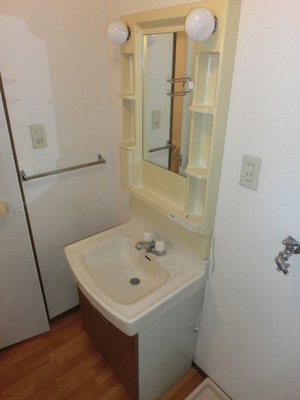 Washroom. Independent wash basin