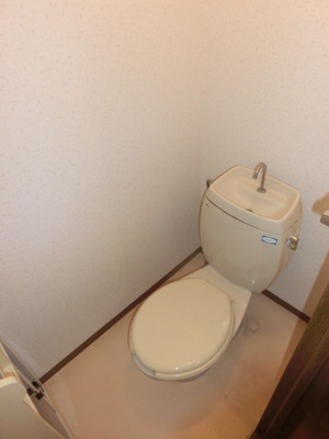 Toilet. Separated toilet