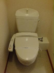 Toilet. Warm water washing toilet seat