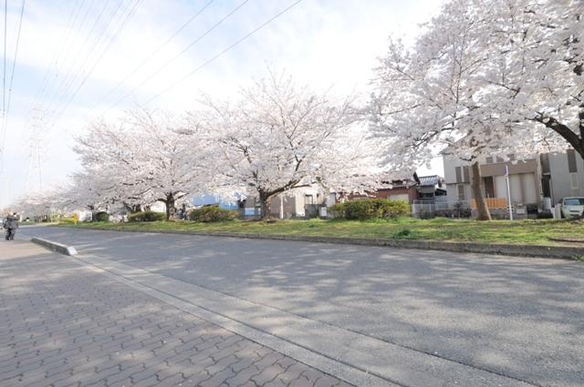 Other. Local neighborhood streets