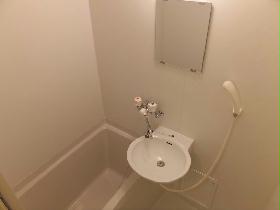 Bath. With bathroom ventilation dryer