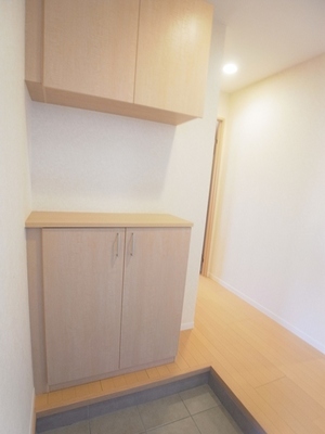 Entrance. Many amount of storage, Shades beautiful shoe box.