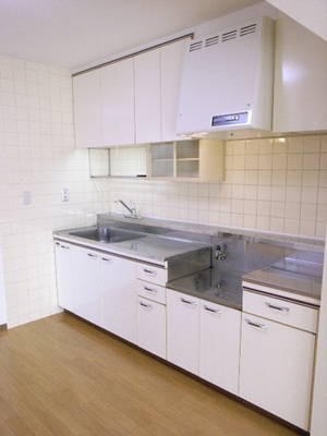 Kitchen. Typical indoor photo. There are housed in the up and down, Ease of use is good