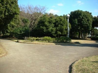 Other. Also adjacent recommended park to families with children.