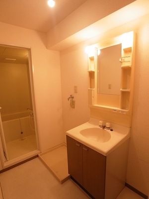 Washroom. Bright washroom. 