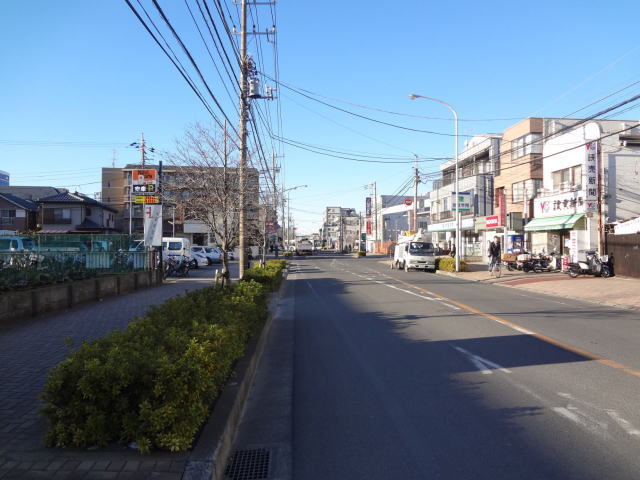 View. Neighborhood landscape
