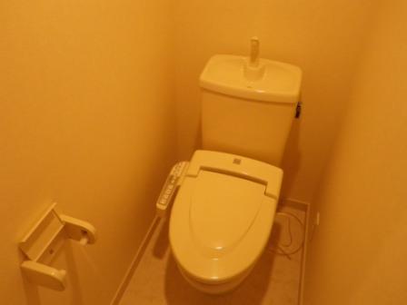 Toilet. I There is a feeling of cleanliness