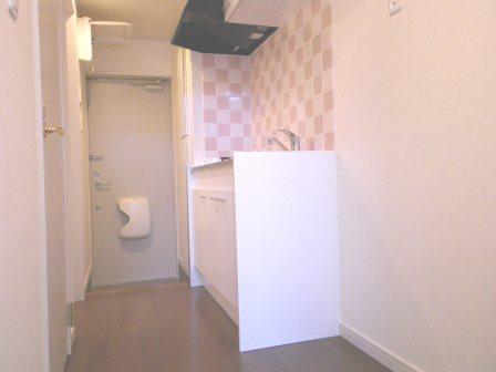 Other room space. Kitchen next to the refrigerator storage ・ This washing machine Storage