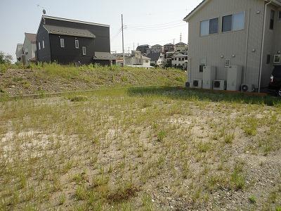 Local land photo. Local (May 2013) Shooting