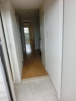 Entrance. There entrance cupboard (the same type)