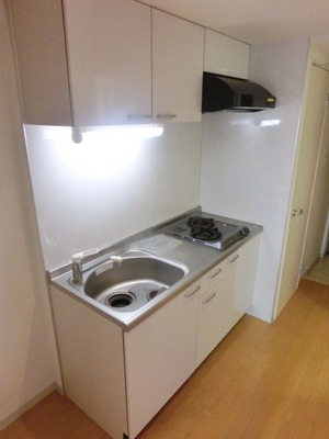 Kitchen. System kitchen (the same type)