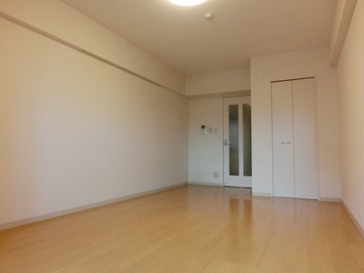 Living and room. 9.9 Pledge of large living room (the same type)