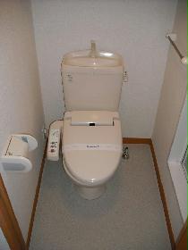 Toilet. Warm water washing toilet seat