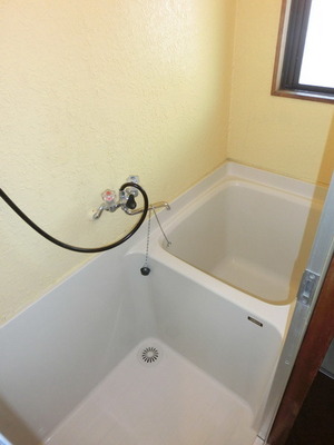 Bath. There bathroom window