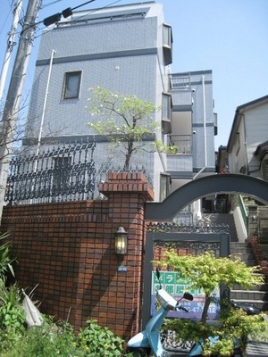 Building appearance. Another angle appearance photo of