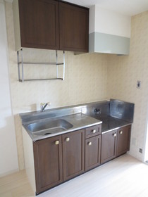 Kitchen. Fun cooking in the kitchen