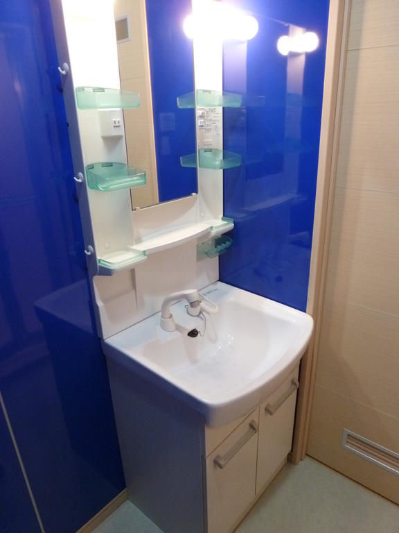 Washroom. Washbasin with shower