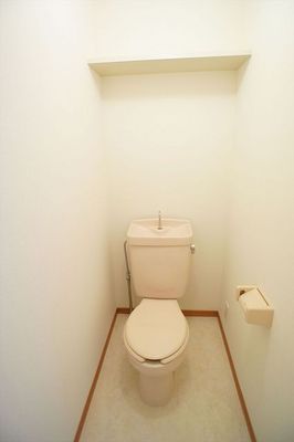 Toilet. Is the definitive user-friendly toilet thing also to the top.
