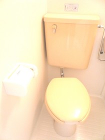 Toilet. It is an important space