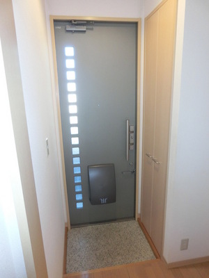 Entrance. Entrance with a shoe box