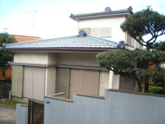 Local land photo. Appearance 1