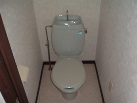 Toilet. Toilets are clean is the best