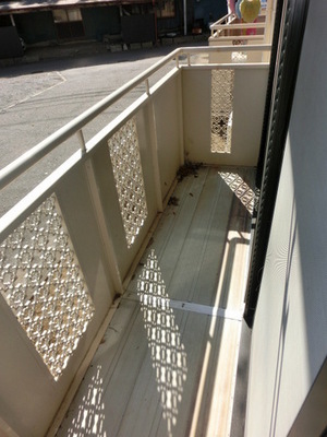 View. Happy with Balcony