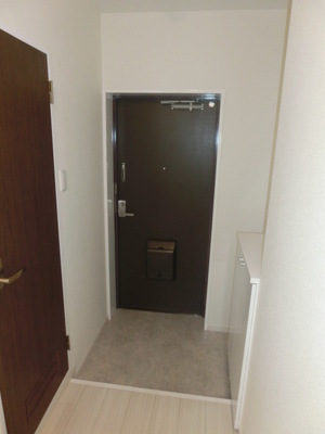 Entrance. Entrance with a shoe box