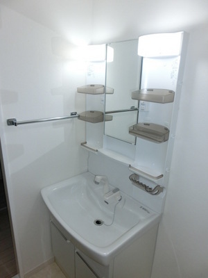 Washroom. Glad Shampoo dresser