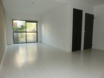 Living and room. Clean room