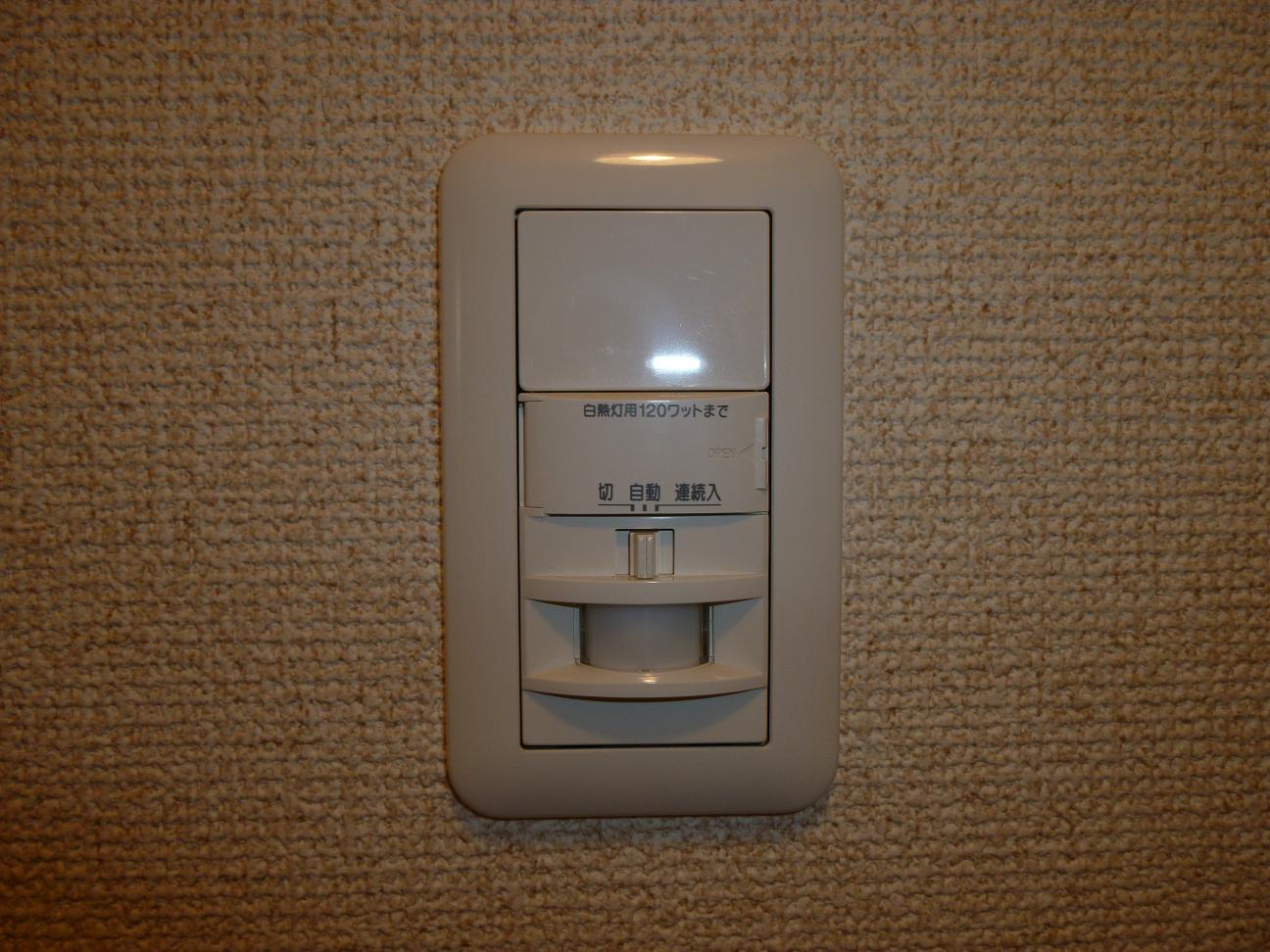 Entrance. Lighting people a sense of light sensor