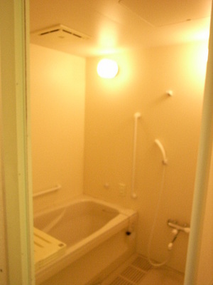 Bath. Typical photo. There are also economic Reheating function in the bathroom!