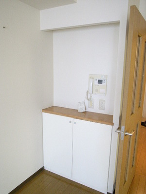 Receipt. Typical indoor photo. There shelf put even a little thing to LD