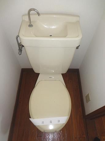 Toilet. Beautiful Western-style toilet.