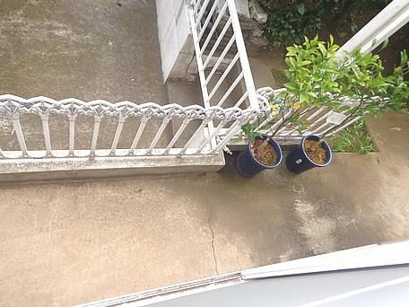 Other. There is a terrace you open the window.