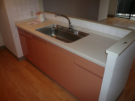 Kitchen. Counter Type of kitchen