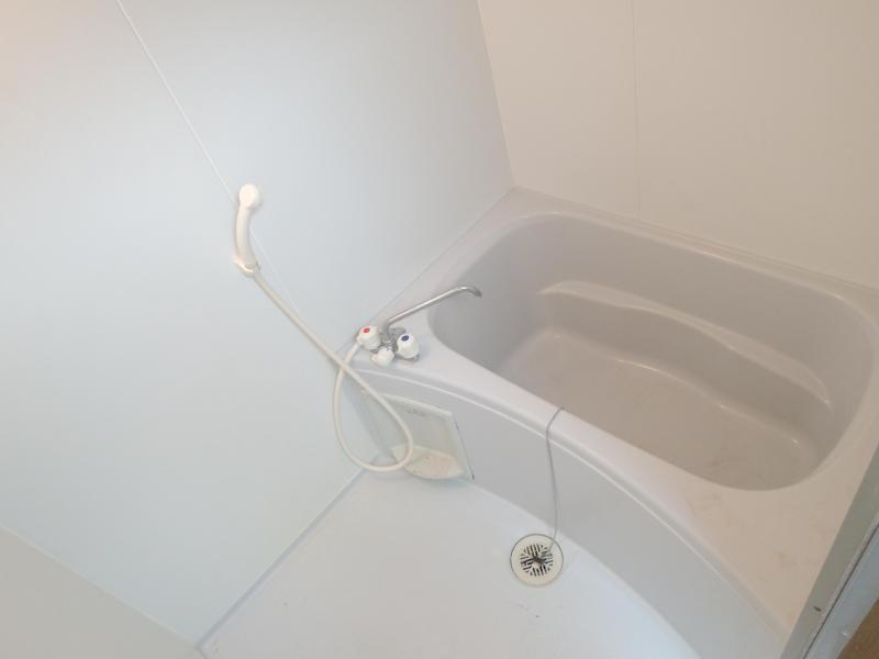 Bath. Relaxed mood in the bathroom is also spacious